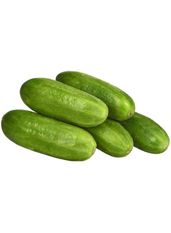Cucumbers Nasim variety 500g